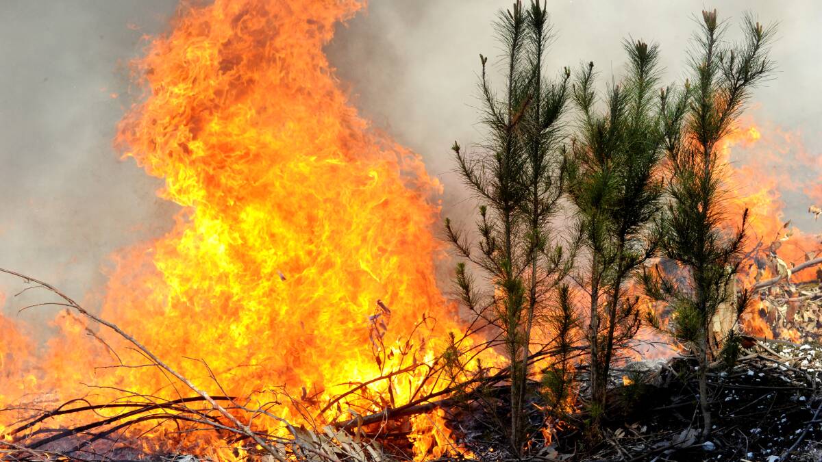 Region on high alert as bushfire risk status upgraded to 'major'