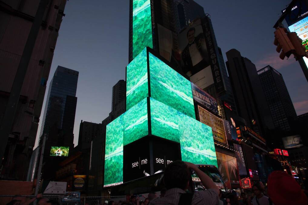 Lisa's Andersons photographs have appeared on screens in New York's Time Square. PHOTO CONTRIBUTED.