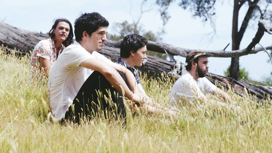 The Honey Badgers will perform in Castlemaine this Saturday. PICTURE: CONTRIBUTED.