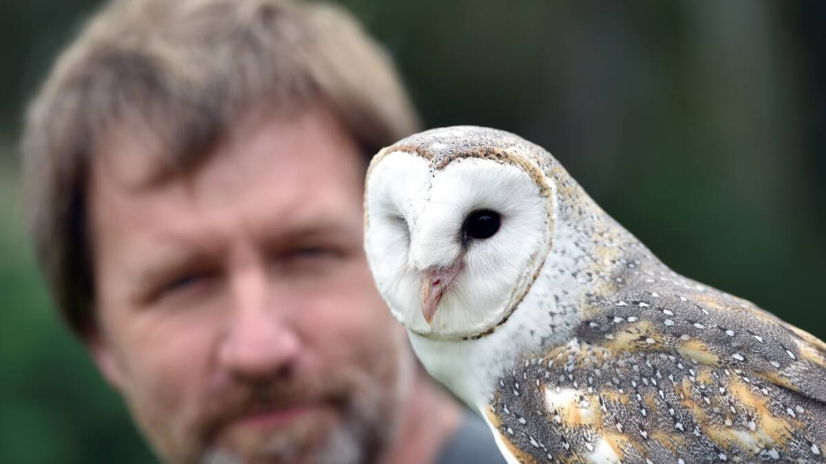 Martin with Min Min the Eastern Barn Owl at a demonstration at Ballarat Wildlife Park. Picture: Jeremy Bannister. 