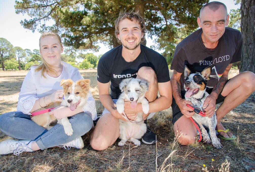 NEW STUDENTS: Puppies Maggie, Izzy and Ruby with their owners Allie Kane, Rhett Murphy and Michael Weaver will be putting their best paws forward at the Ballarat Dog Obedience Club. Picture: Victoria Stone-Meadows. 