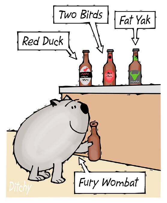 FURRY: Cartoonist John Ditchburn likes the idea of a wombat at the pub. 