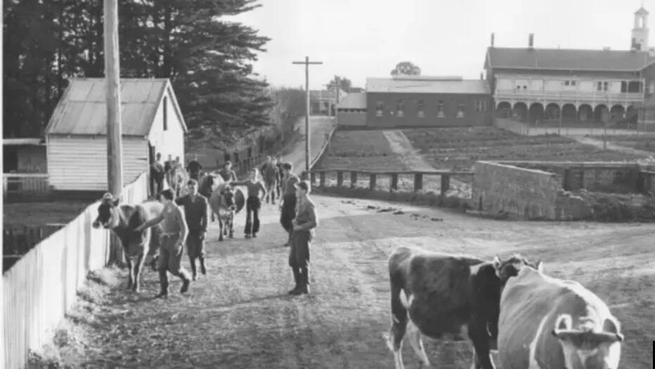 Children working on the farm at Ballarat District Orphan Asylum circa 1925. Picture: CAFS
