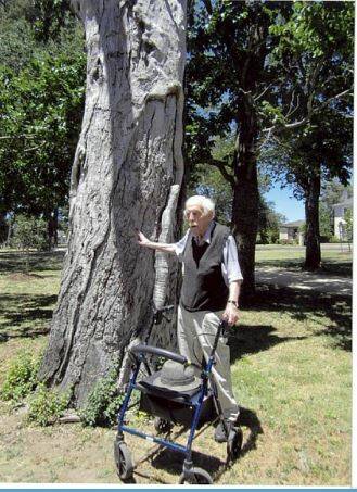 Oliver Guthrie wants to know the mystery of the dead tree at St Patrick's Point on Lake Wendouree