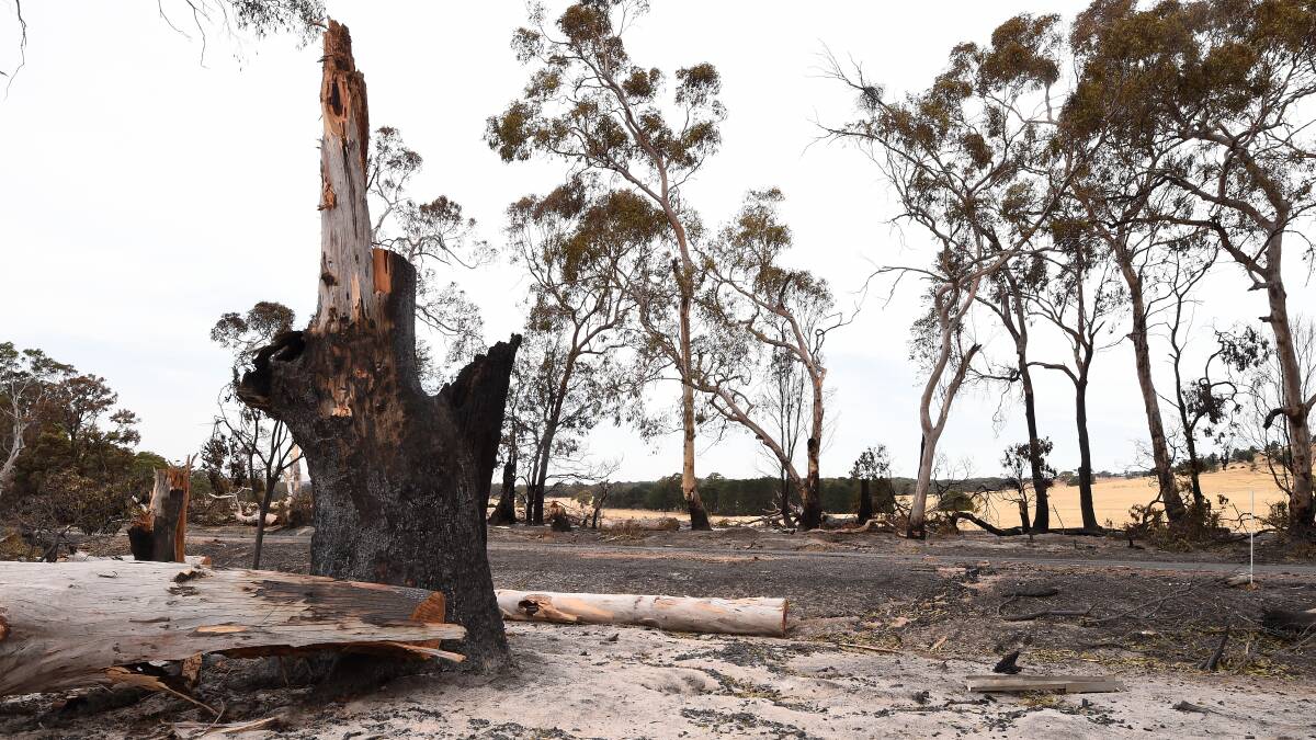 Give generously to bushfire relief but beware the scammers