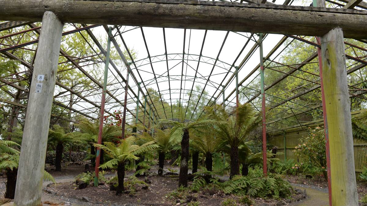 The much loved fernery in the Botanical gardens is a basic community asset crying out for a wider level of funding.