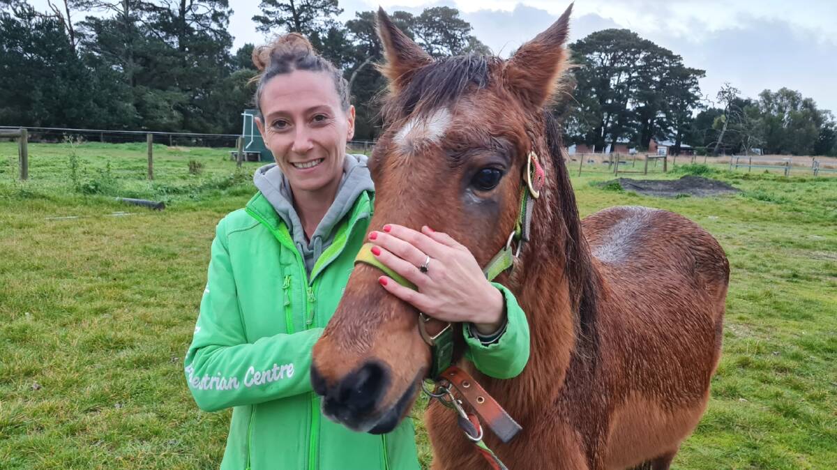 CARE: Louise Jackson, of Jackson Park Equine Therapy in Mount Wallace, says 42-year-old Jess is young at heart, healthy and active and has a few years left in her yet. Picture: Gabrielle Hodson. 
