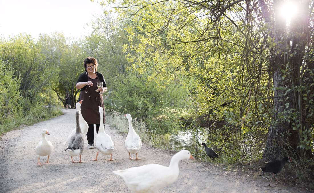 Alla Wolf-Tasker with her geese at the Lake House in Daylesford. Photo: Lisa Cohen 