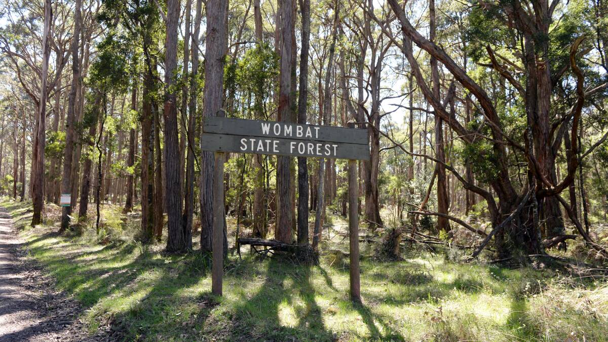 Wombat plan to create a greater park divides users