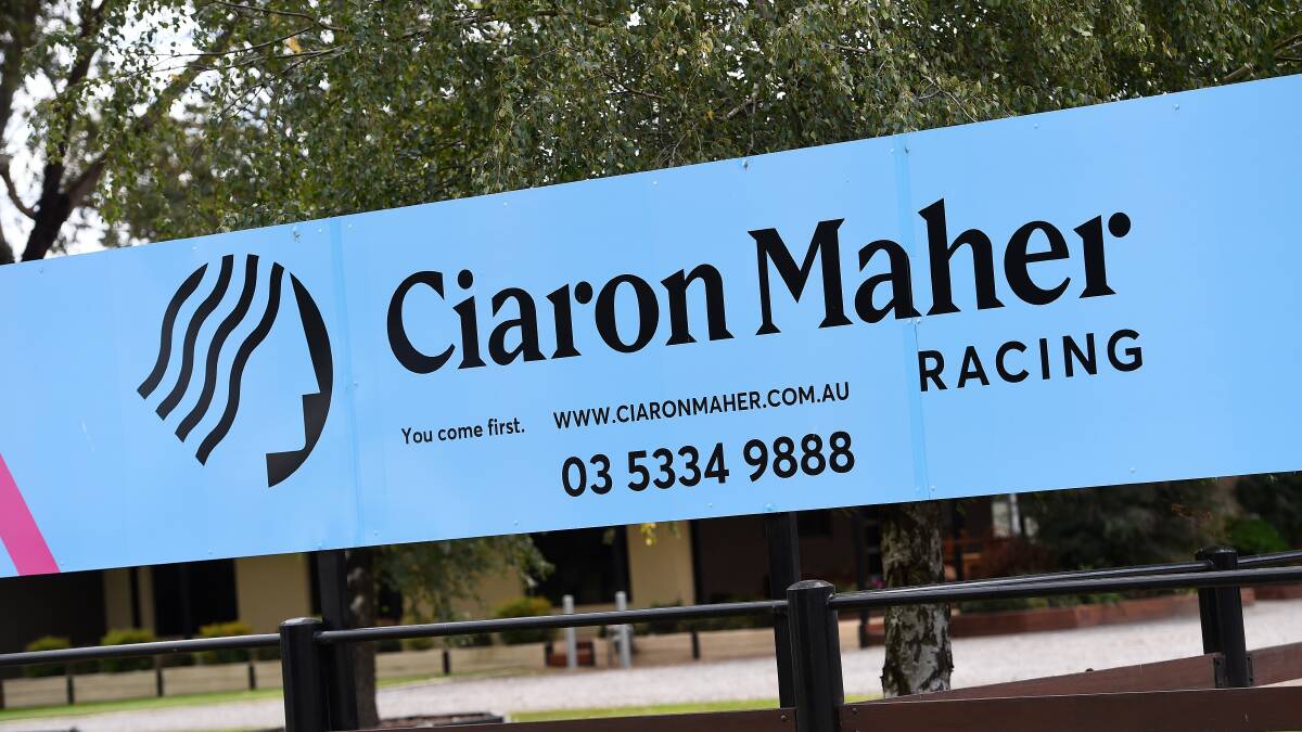 Could this be Ciaron Maher's big hometown week?