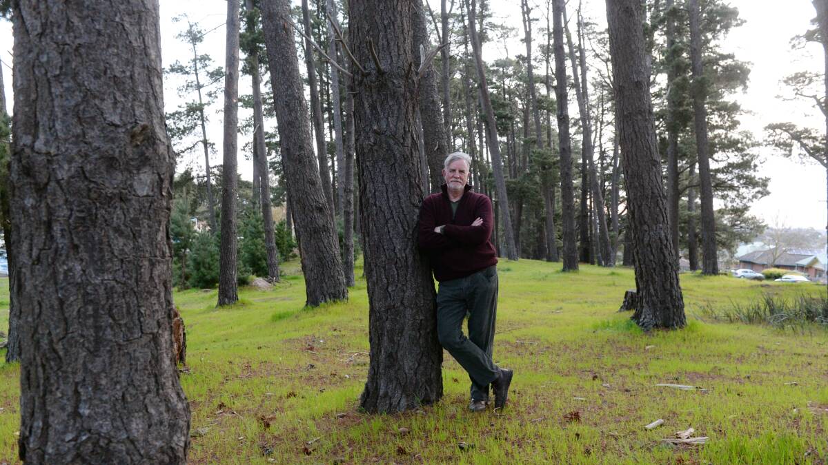 Julian Whitta is a community member who is spearheading a campaign to reverse council's decision to fell the Black Hill Pine Plantation.