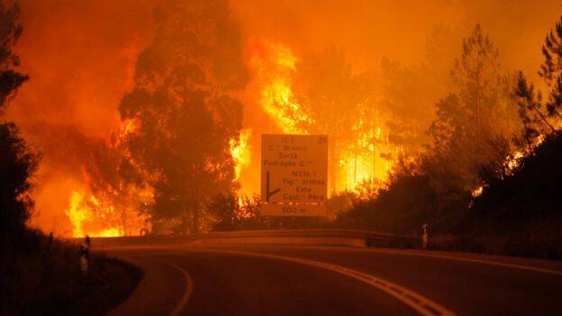 Deadly aftermath: The Courier reporter documents bushfire devastation