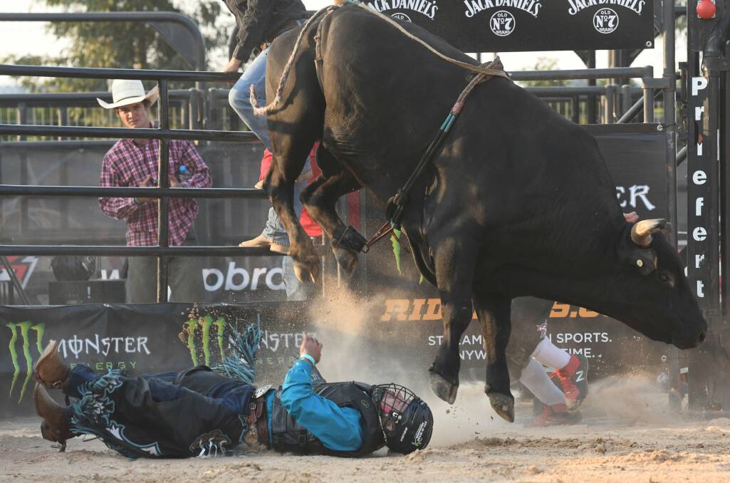 Your say: Bull riding is a sport unworthy of a compassionate city
