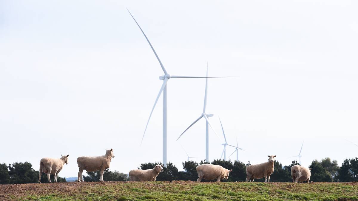 Brewster turbines among Australia's tallest still waiting on decision