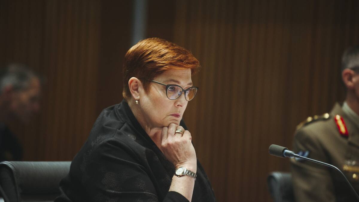 Foreign Affairs Minister Marise Payne. Picture: Dion Georgopoulos