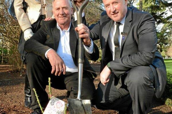 Ron Inverarity from Treloar Roses officially plants the new City of Ballarat rose with mayor Mark Harris yesterday. Picture: Adam Trafford