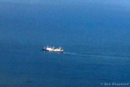 The Nisshin Maru as seen from the drone on December 24, 2011.