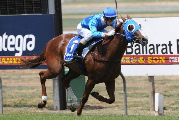 Race two winner Vals Boy and jockey Jack Hill. Picture: Lachlan Bence
