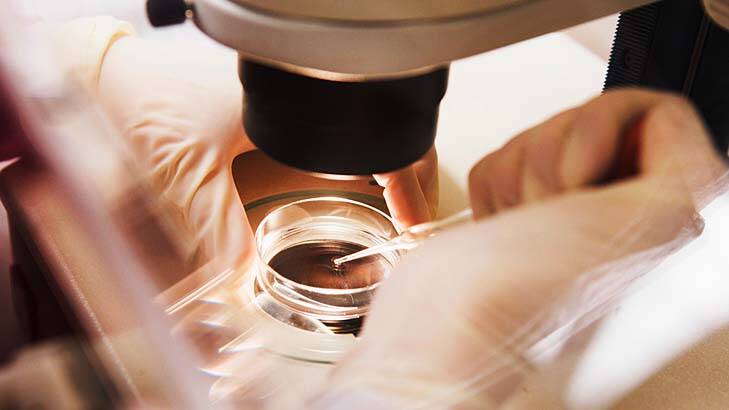 Calling for IVF laws to be scrapped ... researchers found fertility patients felt coerced to destroy their potential offspring since the NSW government placed a 10-year limit on storing frozen embryos.
