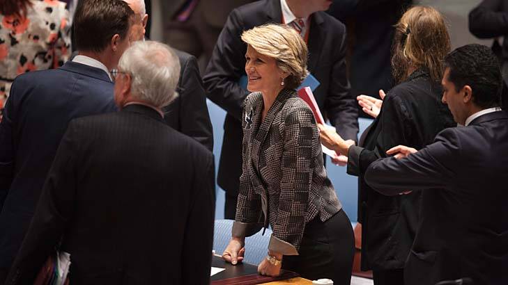 Australian Minister of Foreign Affairs Julie Bishop talks to other attendees before a Security Council meeting on small arms, during the 68th United Nations General Assembly at UN headquarters in New York. Photo: Reuters/CARLO ALLEGRI