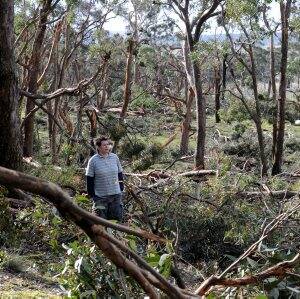 DAMAGE: Nicole Hunter examines the damage on her property at Trawalla after Friday night's storm. Picture: Jeremy Bannister