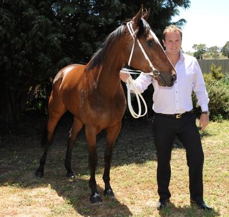 BIG DAY: Glen James, part-owner and son of trainer Barry, with Ballarat Cup contender Sylvan O'Reilly.