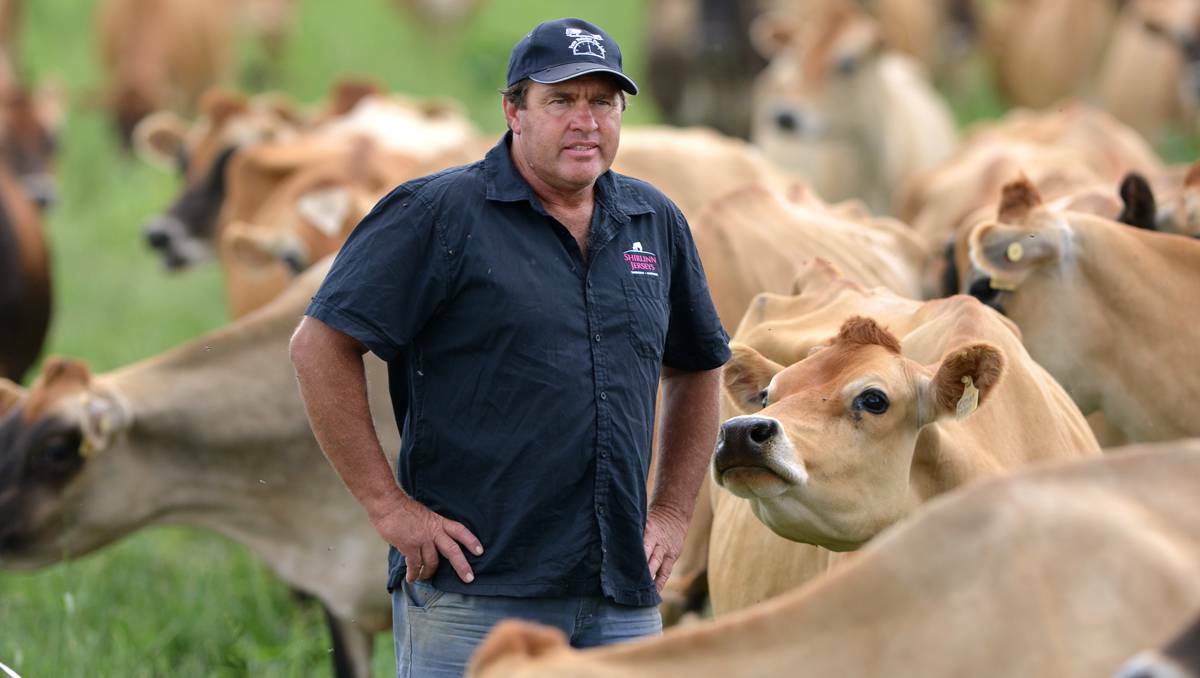 Tamworth dairy farmer Brian Wilson can’t wait for the ACCC’s investigation into the Coles, Woolworths duopoly. Photo: BARRY SMITH