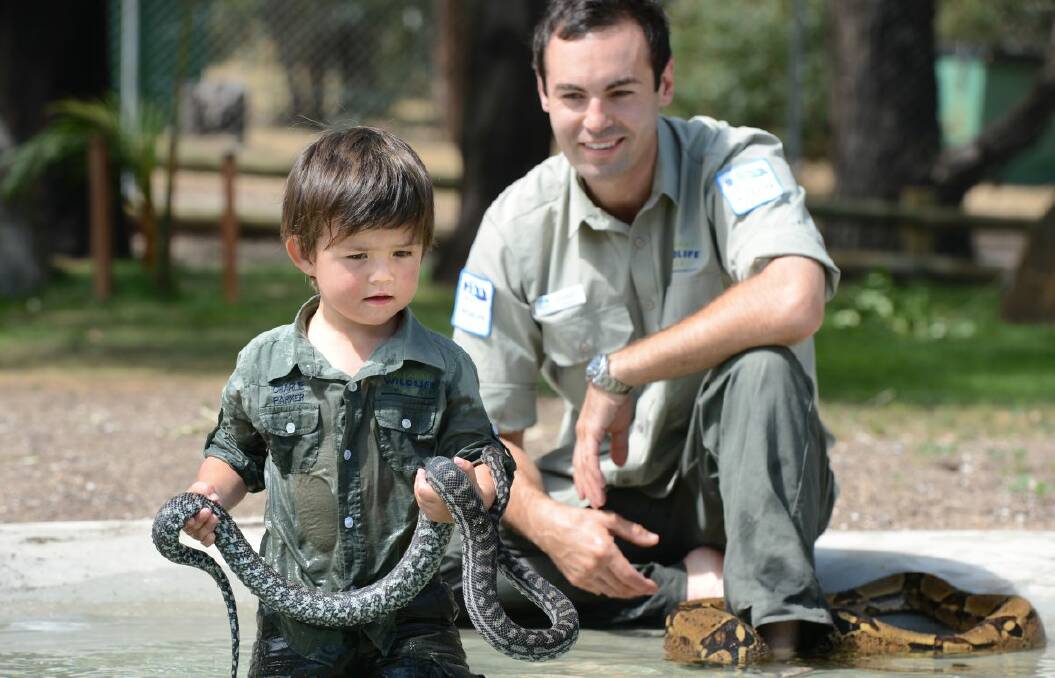 Charlie Parker, under the watch of his brother and Wildlife Park manager Stuart Parker, plays with a carpet python and boa constrictor in the water yesterday.