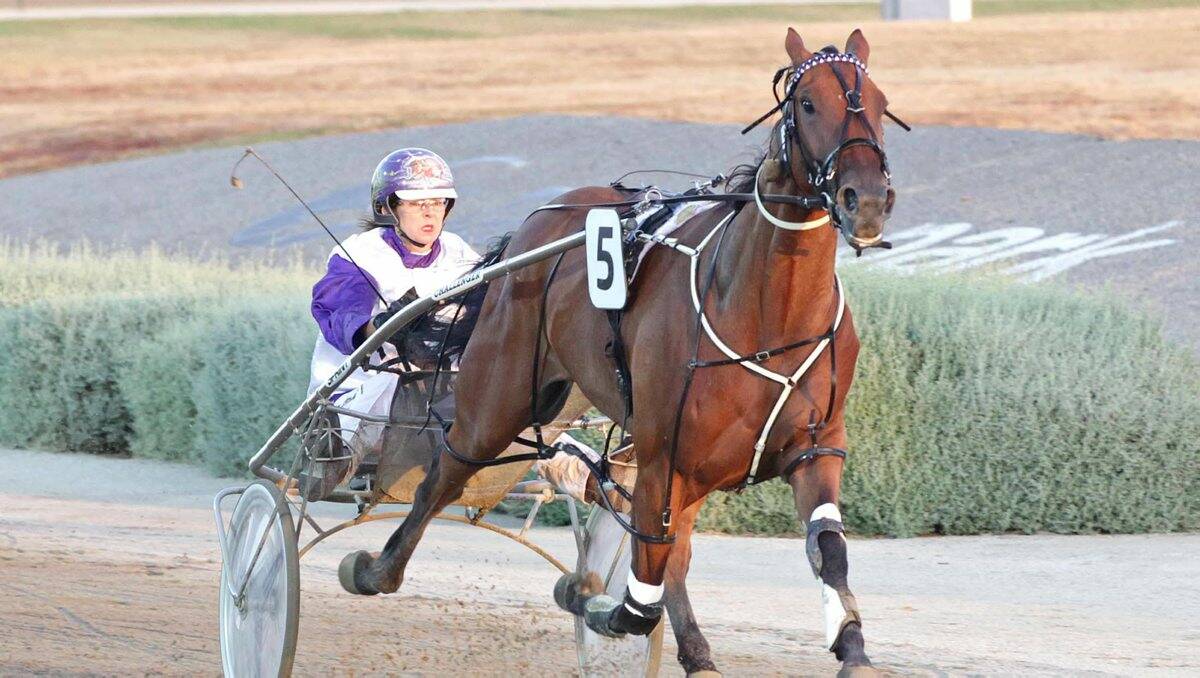 WINNER: It Is Billy (Anne-Maree Conroy) salutes for Daylesford trainer Mick Barby at Melton last Friday. He returns to the circuit tomorrow night. PICTURE: HARNESS RACING VICTORIA