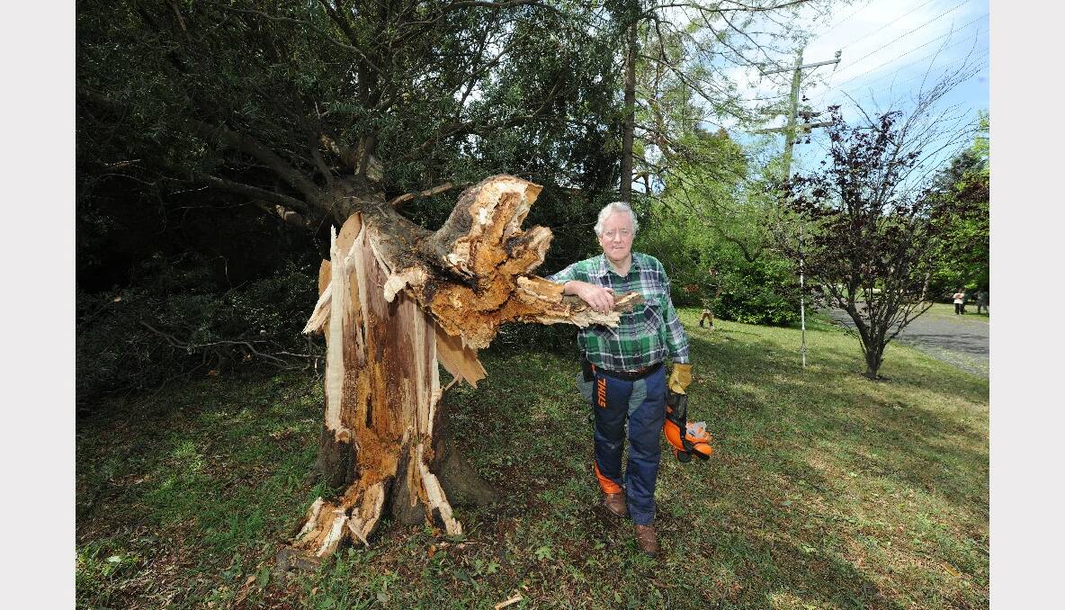 Leo Ryan at his Lylia Avenue property with this uprooted tree. PICTURE: LACHLAN BENCE.