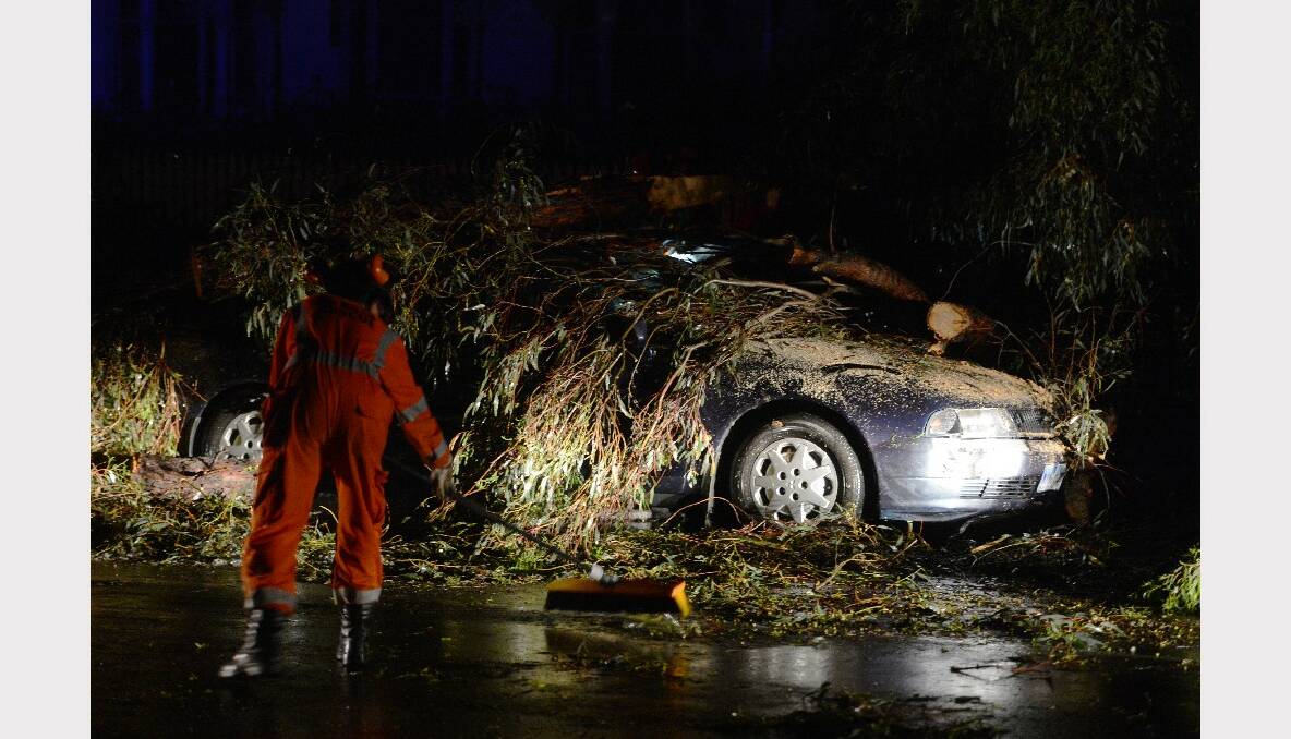 SES crews work to clear a tree that fell on a car in Albert Street.