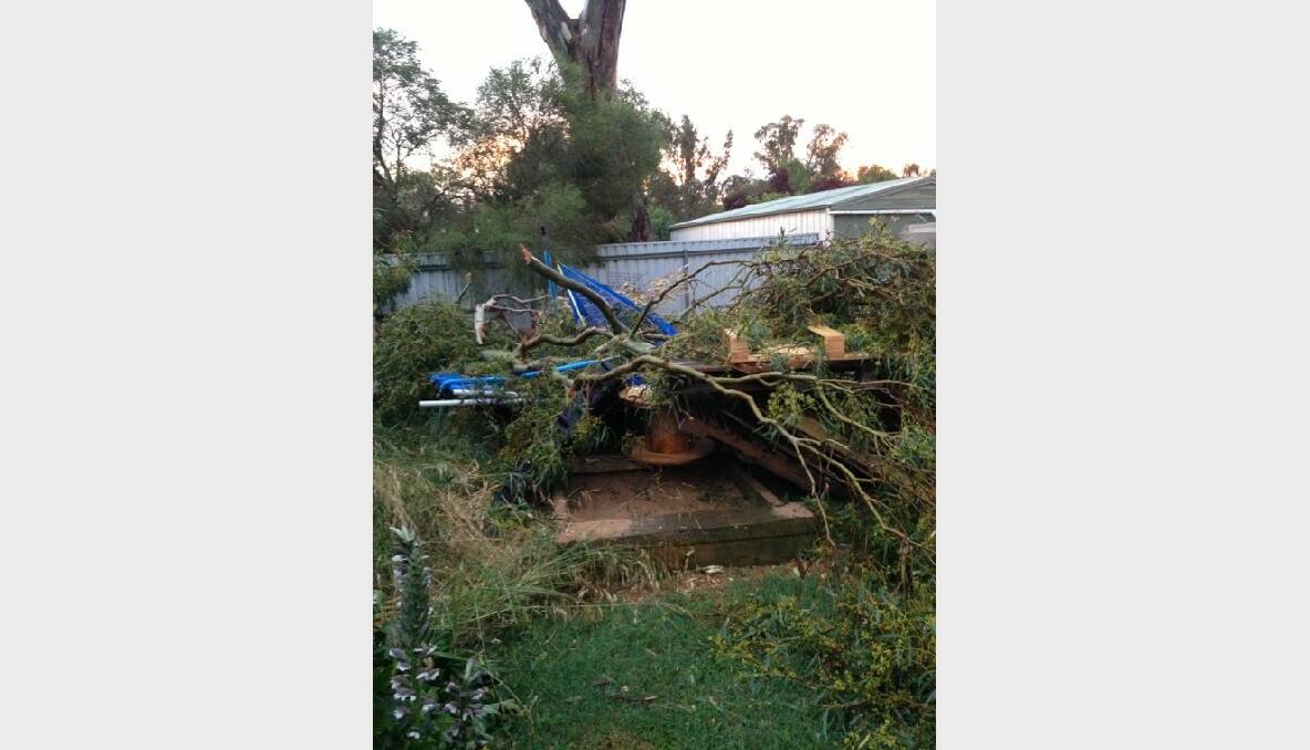 Trees were ripped out of the ground at this Elmhurst property. Submitted by Christine Hoare.