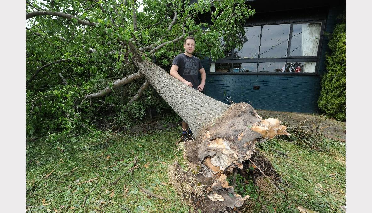 Storm Adam Howlett with this uprooted tree, damaged at his Marina Drive property. PICTURE: LACHLAN BENCE.