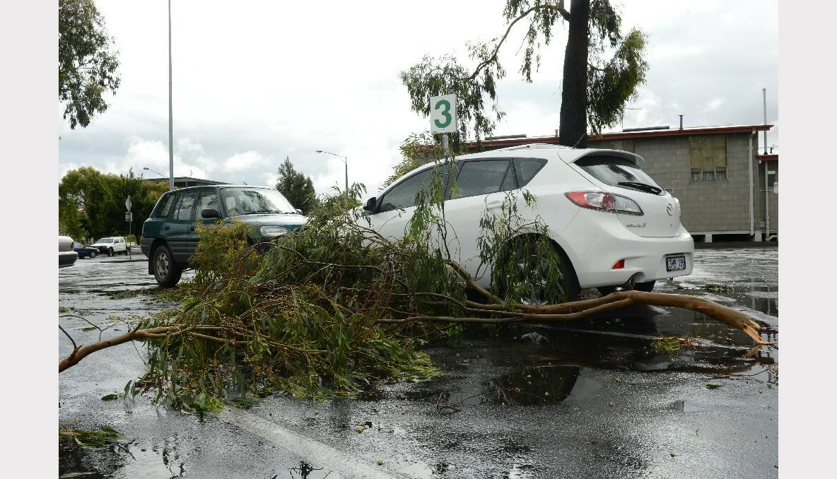 Wild winds brought down many tree branches. PICTURE: ADAM TRAFFORD.