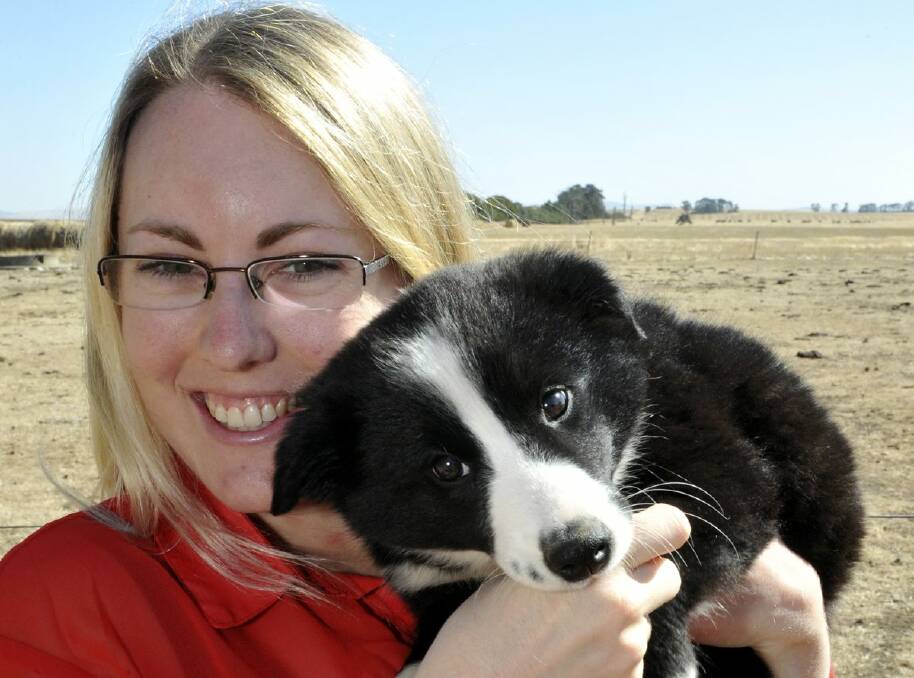 "Dorothy" the Border Collie with owner Jennifer Draffin. Picture: Jeremy Bannister