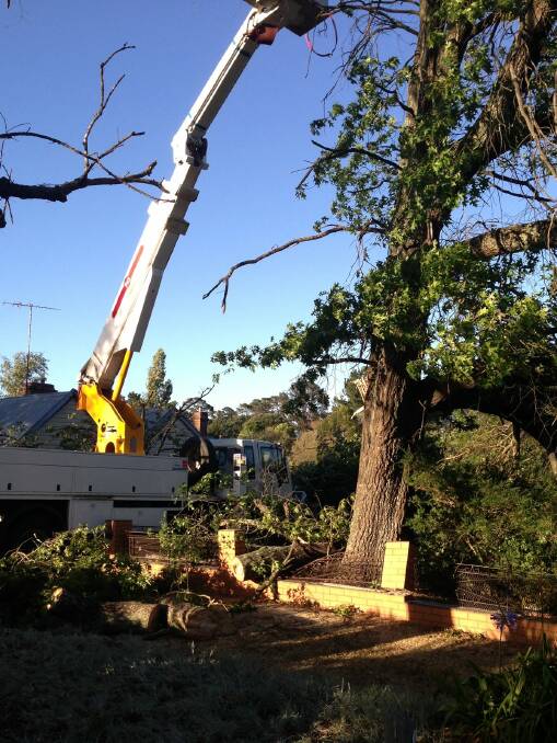 First pictures of the tree down over a house in Creswick. PICS: Matt Dixon