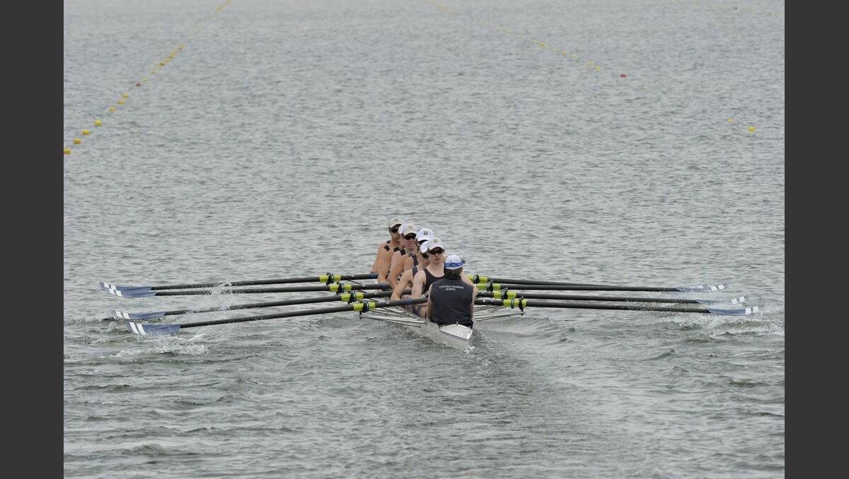 Day 1 Caulfield Grammar starting their race in the Male School Eight Open Div 2 PIC: JEREMY BANNISTER