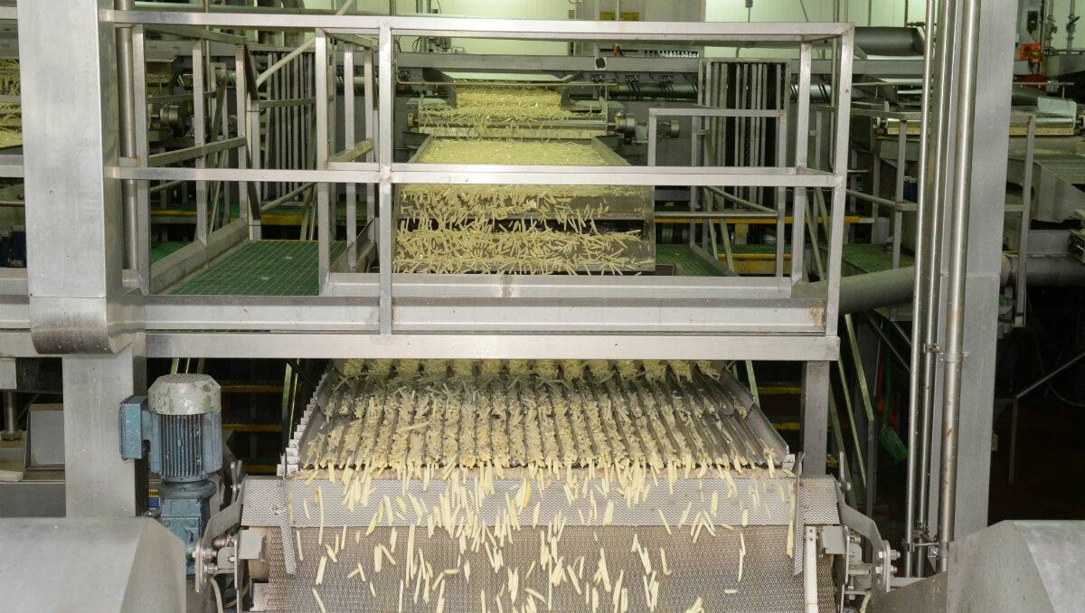 McCain Foods Ballarat French fry factory makes up to 130 million fries per day. PICTURE: KATE HEALY