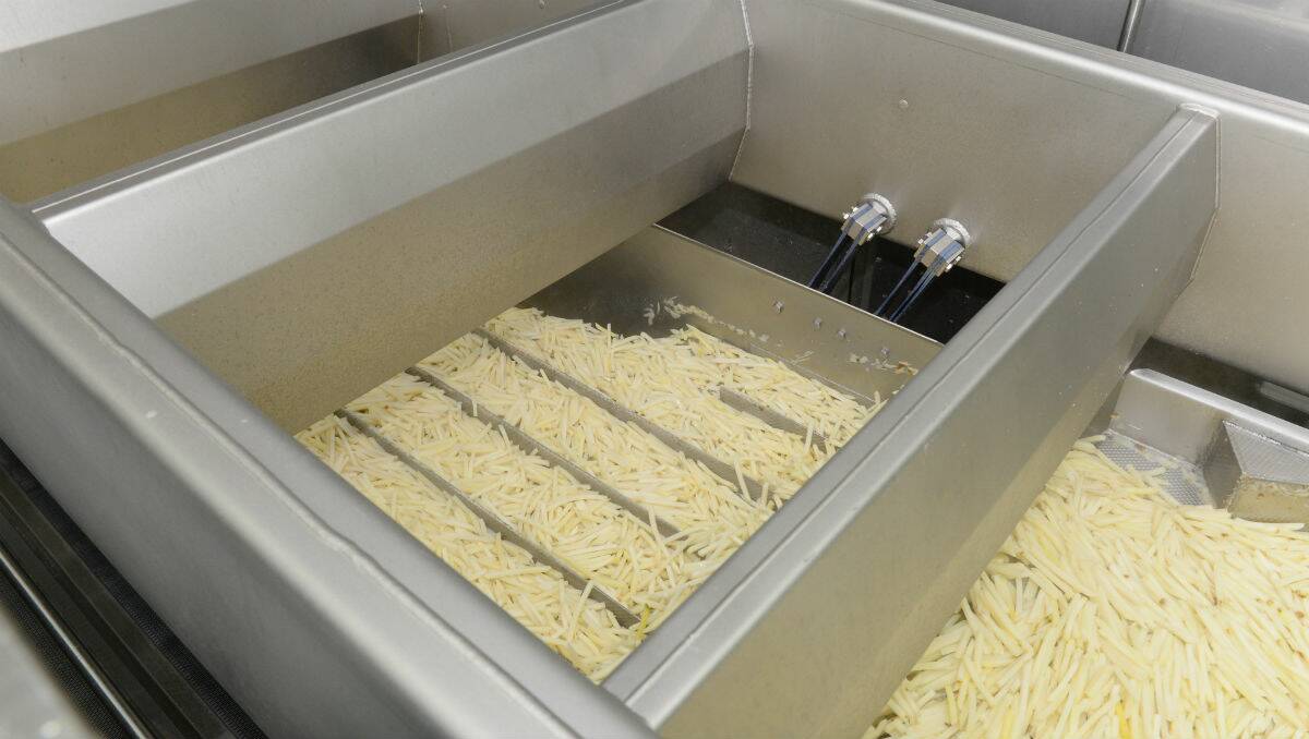 McCain Foods Ballarat French fry factory makes up to 130 million fries per day. PICTURE: KATE HEALY