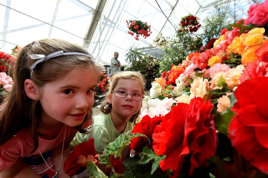  Bronte and Lyla Molloy - Begonia Festival day two  PIC: Jeremy Bannister