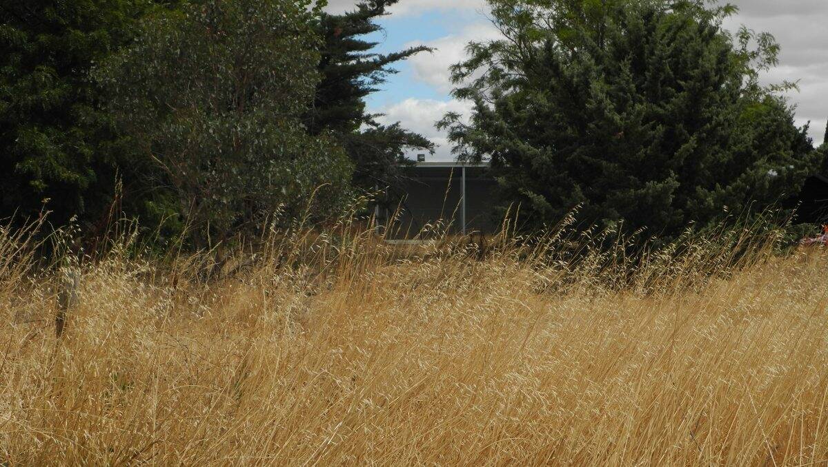 Hepburn residents are concerned for their safety after long grass has been left to dry out next to the Hepburn Neighbourhood Place of Last Resort. 