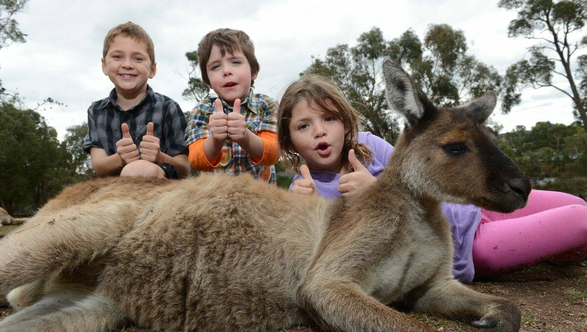 Blair Davis, left, Jackson Chalmers and Chloe Davis show their approval of the Ballarat Wildlife Park. PICTURE: ADAM TRAFFORD