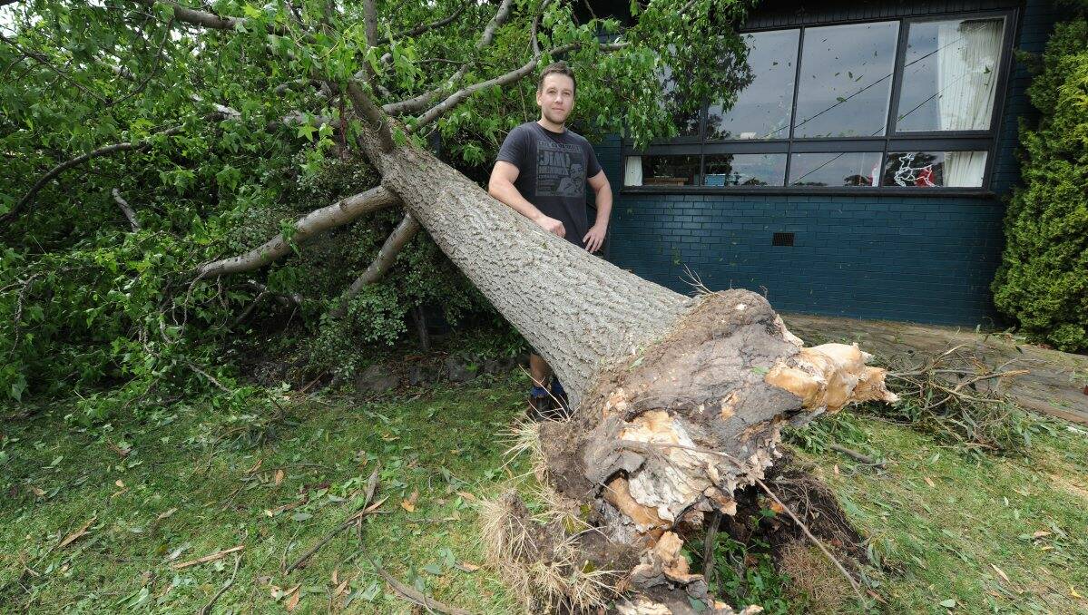  Adam Howlett and the fallen tree.