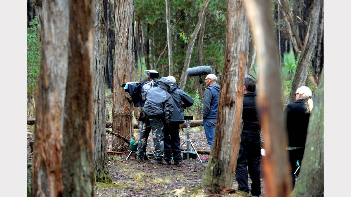 Filming begins in April at the Pax Hill Scout Camp. PICTURE: JEREMY BANNISTER