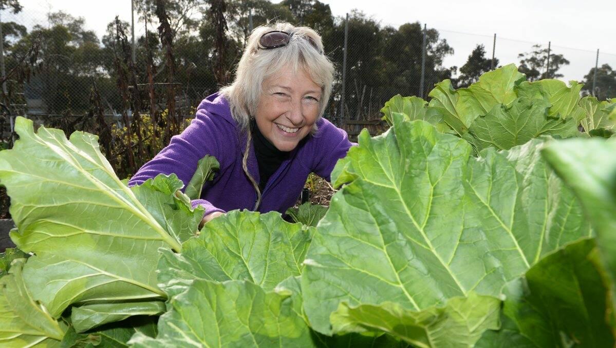 Ballarat Community Garden chairperson Sheilagh Kentish says the benefits of the space for its more than 100 users go well beyond growing and eating their own chemical-free produce. PICTURE: KATE HEALY