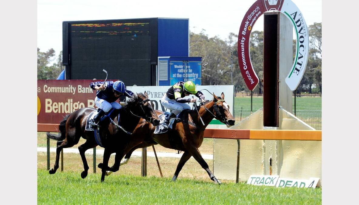 Finish of Race 2, winner #3 Gorilla's Mist from #10 Skip The Faith. PICTURE: JEREMY BANNISTER.