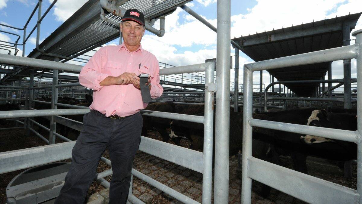 High-tech: Elders Livestock manager Graeme Nicholson says that while there is an online presence in Ballarat, the face-to-face market is still the strongest way to buy or sell. PICTURE: JUSTIN WHITELOCK